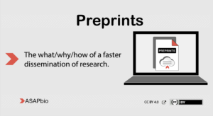 Preprints: The what/why/how of a faster dissemination of research