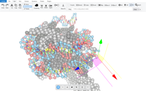 Interactive tools for visualisation of DNA, RNA, and protein structures