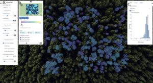 ForestVis: Visualizing Individual Tree Characteristics in Forest 3D Point Clouds Using Remote Sensing Data