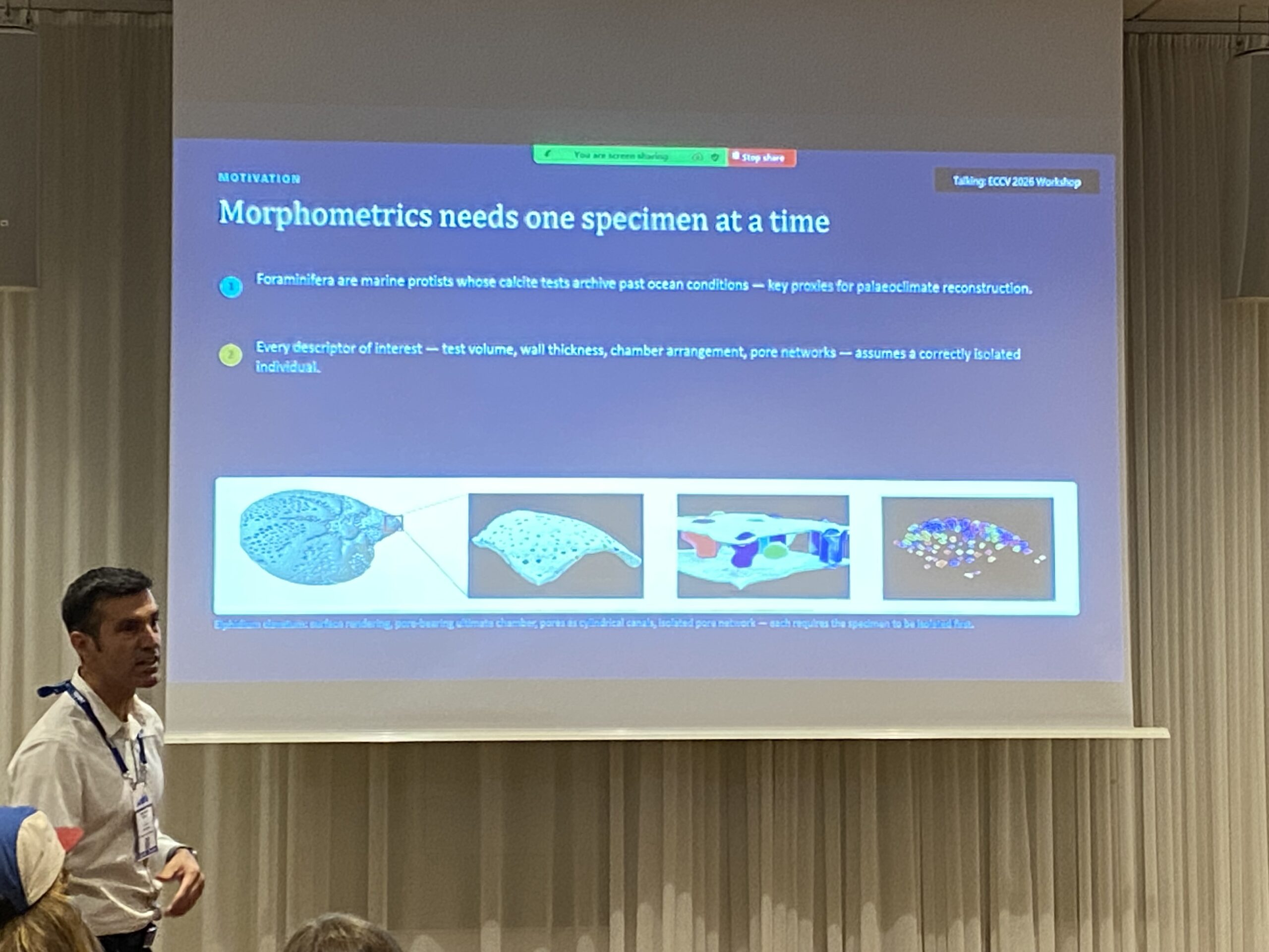 Accepted paper presented at ECCV 2026 Workshops: New Methods For Studying Foraminifera In 3D